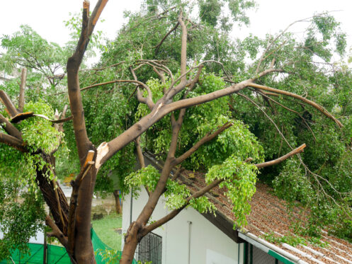 Storm damage repair in Fort Lauderdale, FL