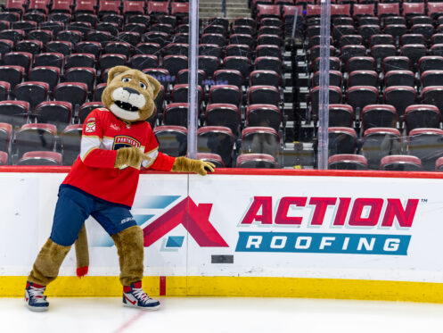 Action Roofing Services Florida Panthers