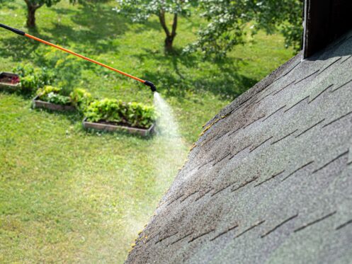 Roof Maintenance in Fort Lauderdale, FL